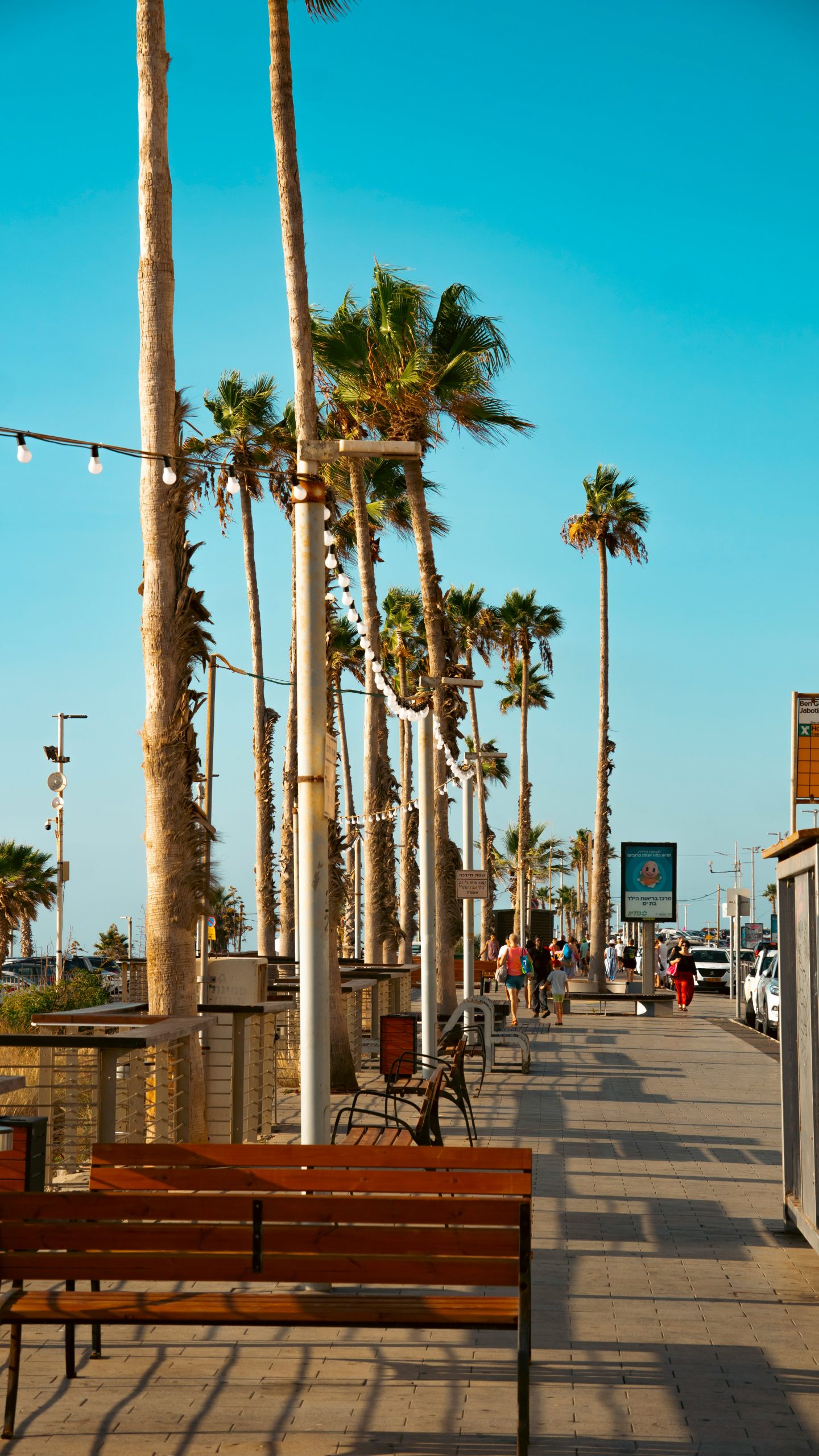 marius-katz-MPG-cKBxC0c-unsplash